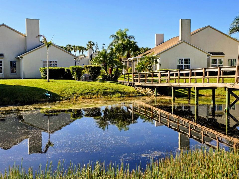 Backyard Bridge to the Island Clubhouse