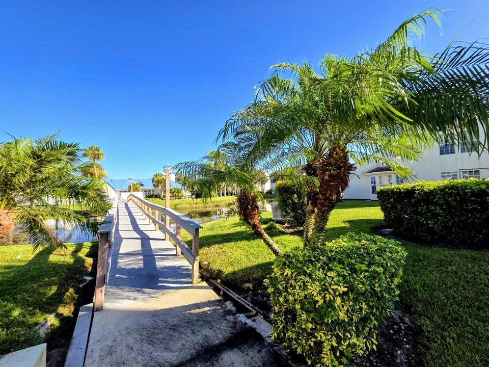 your Backyard View