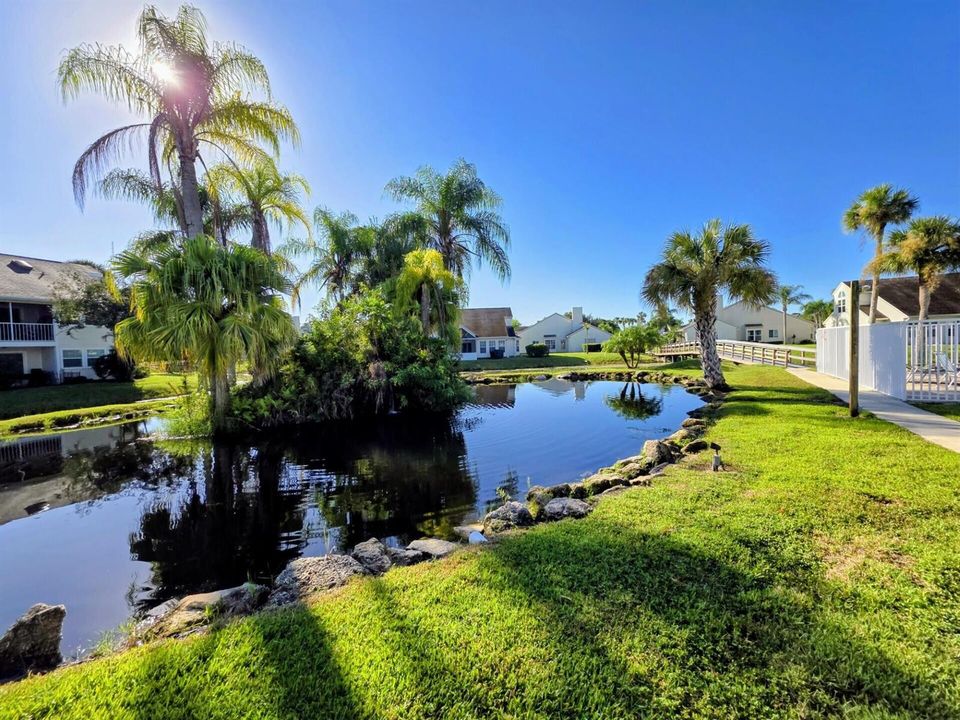 Water Views