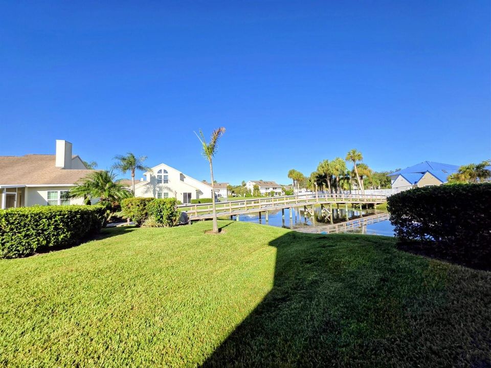 Side yard View