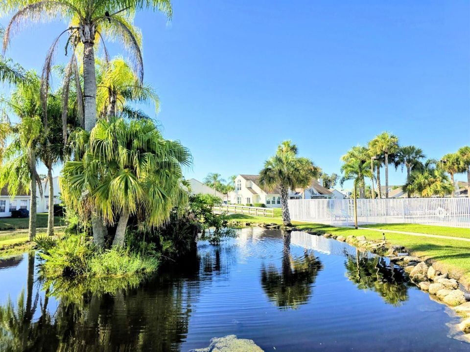 Island Water View