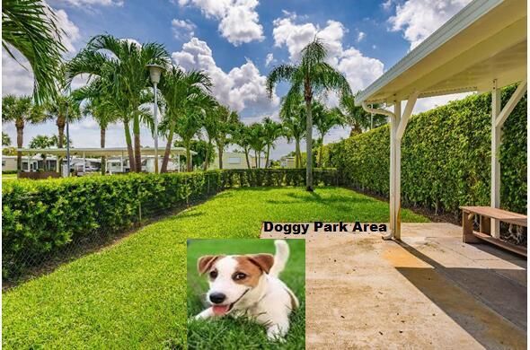 Doggy Park Area