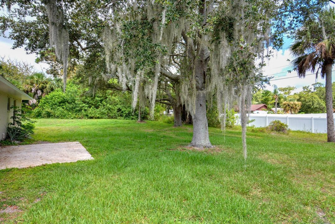 Yard