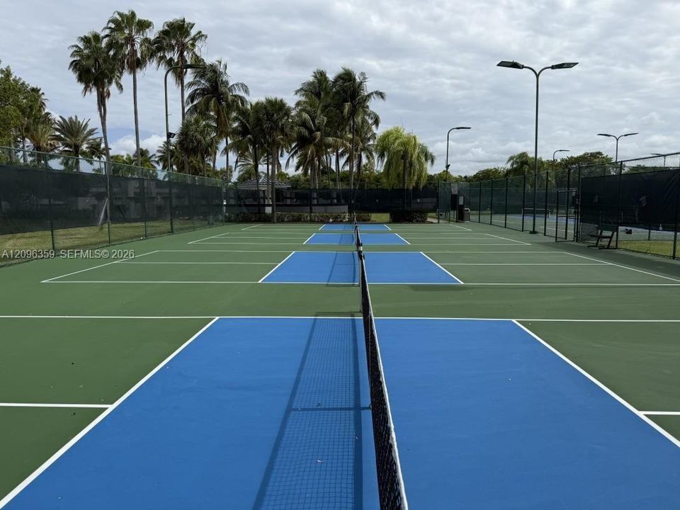 Pickle ball