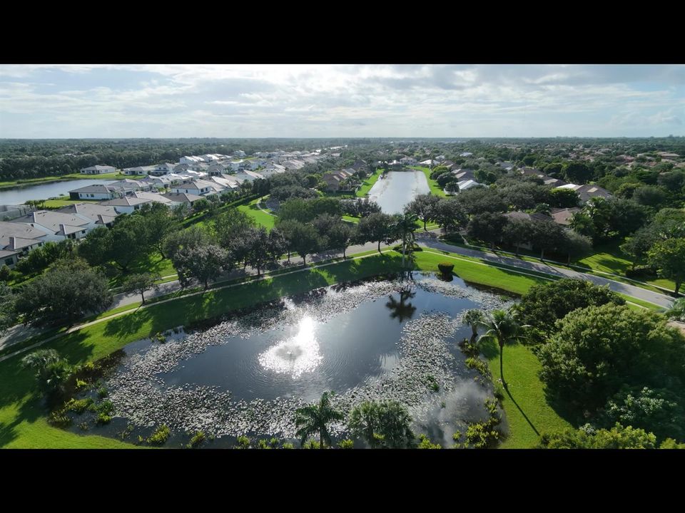Beautiful Community Aerial