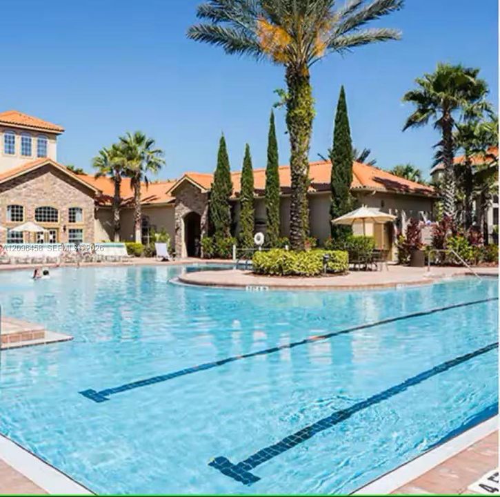 Swimming pool with lap lanes, sun-drenched pool deck, mature palm trees, tile roof architecture, and stone exterior finish