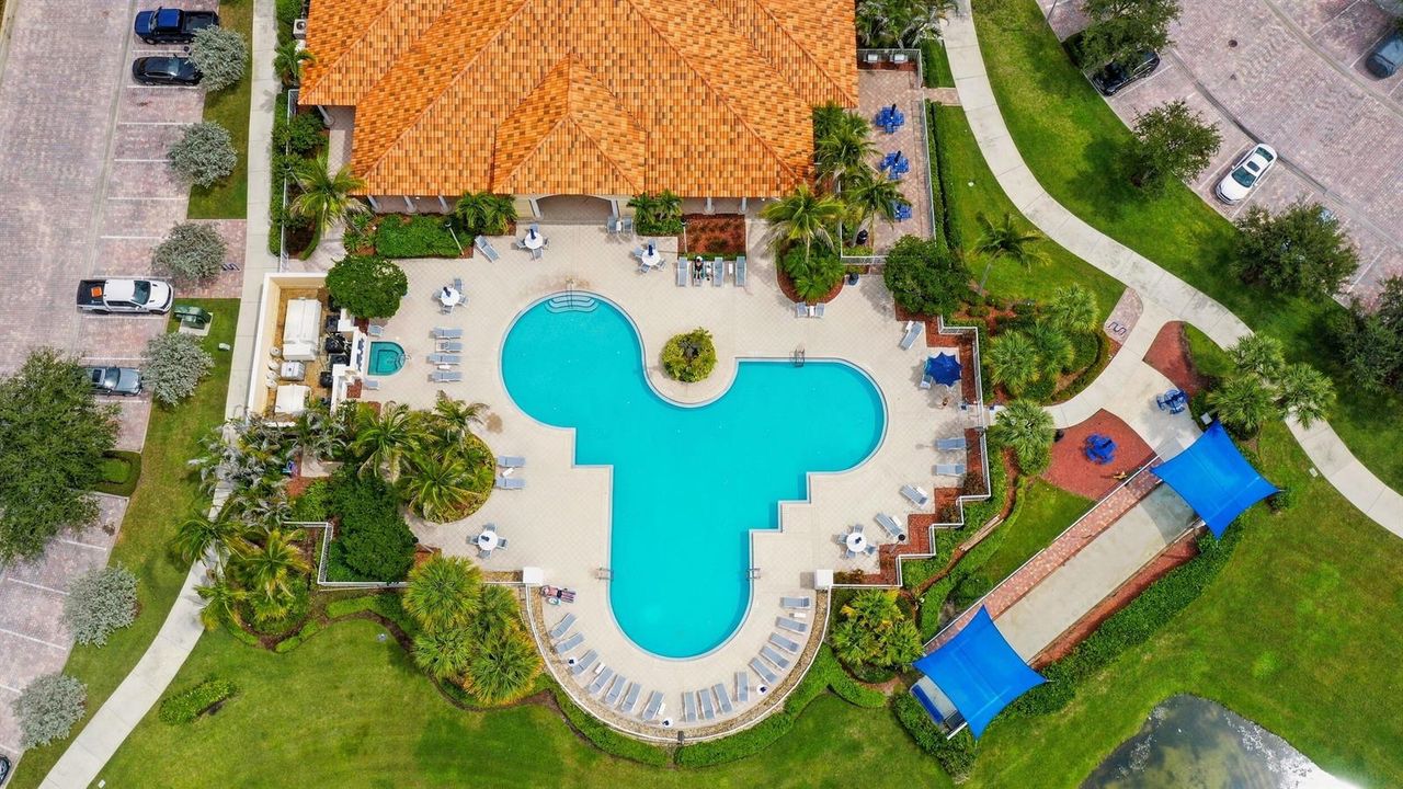 Aerial of Pool
