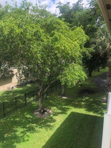 Patio View