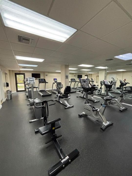 Gym