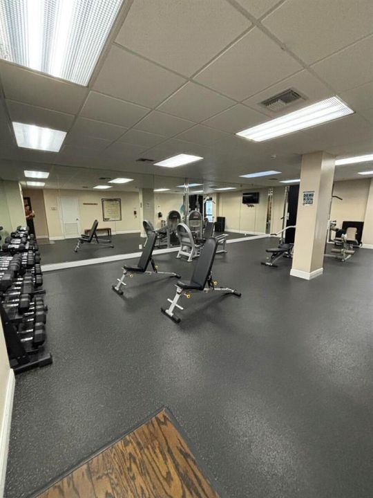 Gym