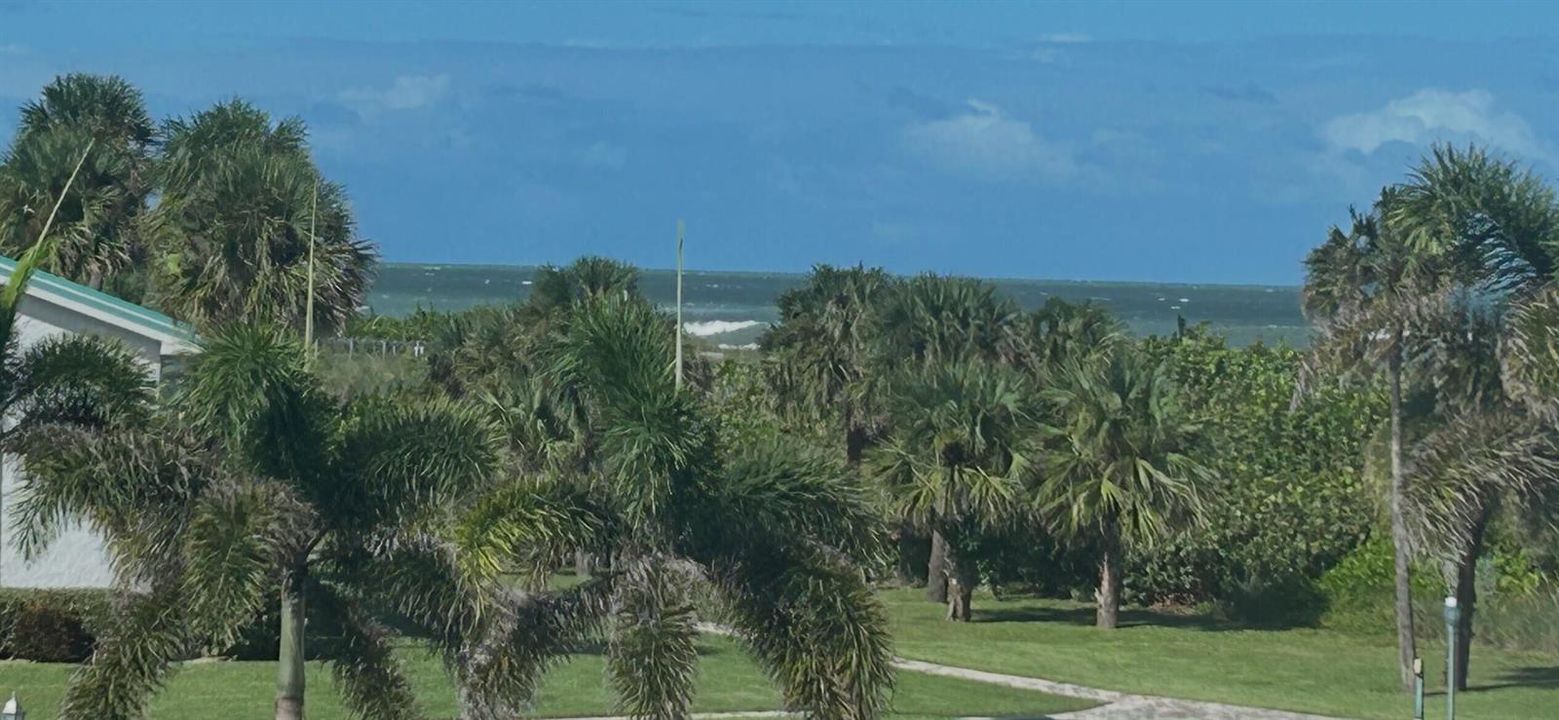 zoomed view
