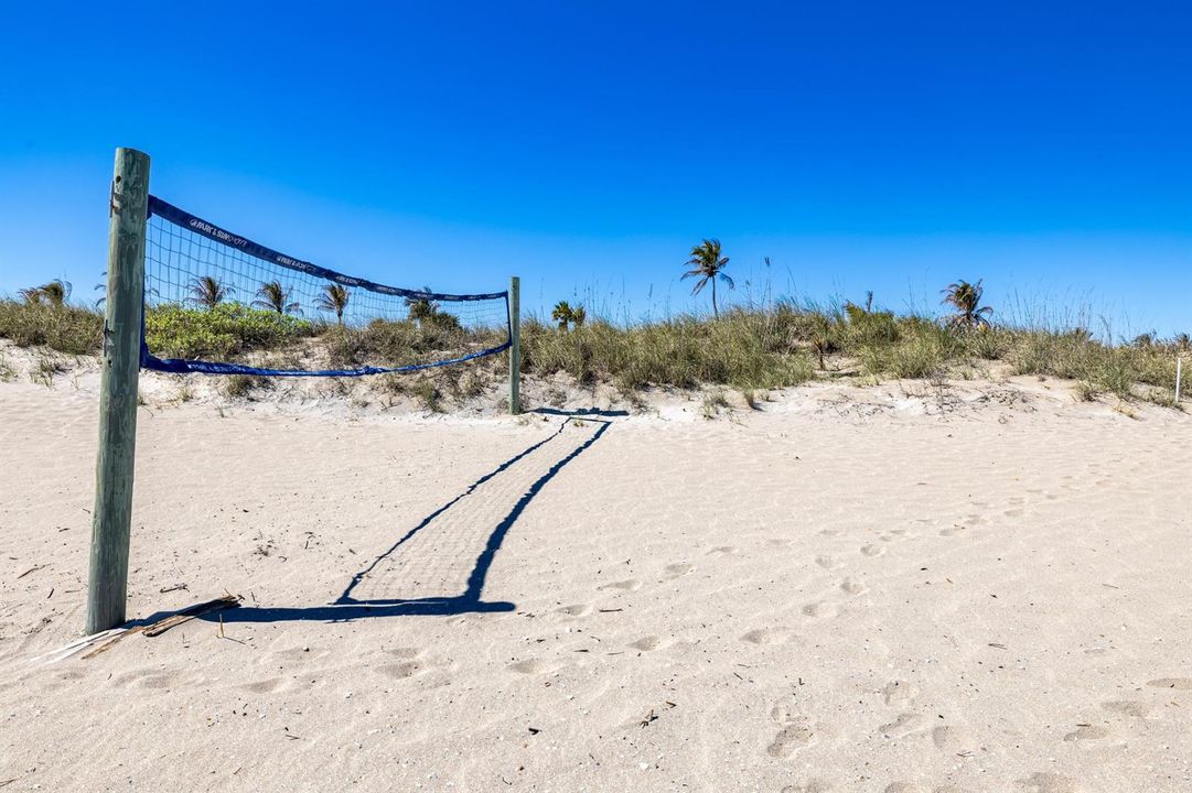 Beach volleyball