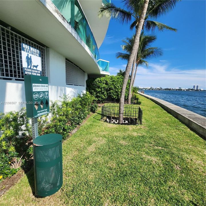 Pet relief area