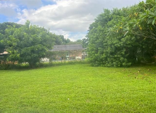 Backyard View