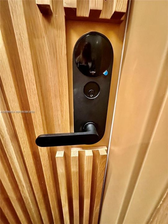 smart lock entry