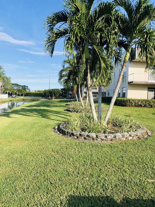 Landscaping