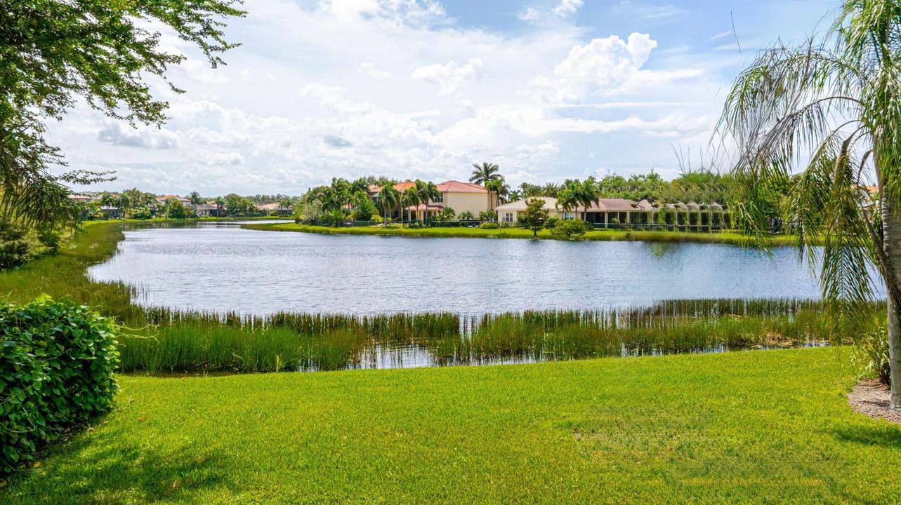 10310 Carolina Willow Dr-DJI_20260916104