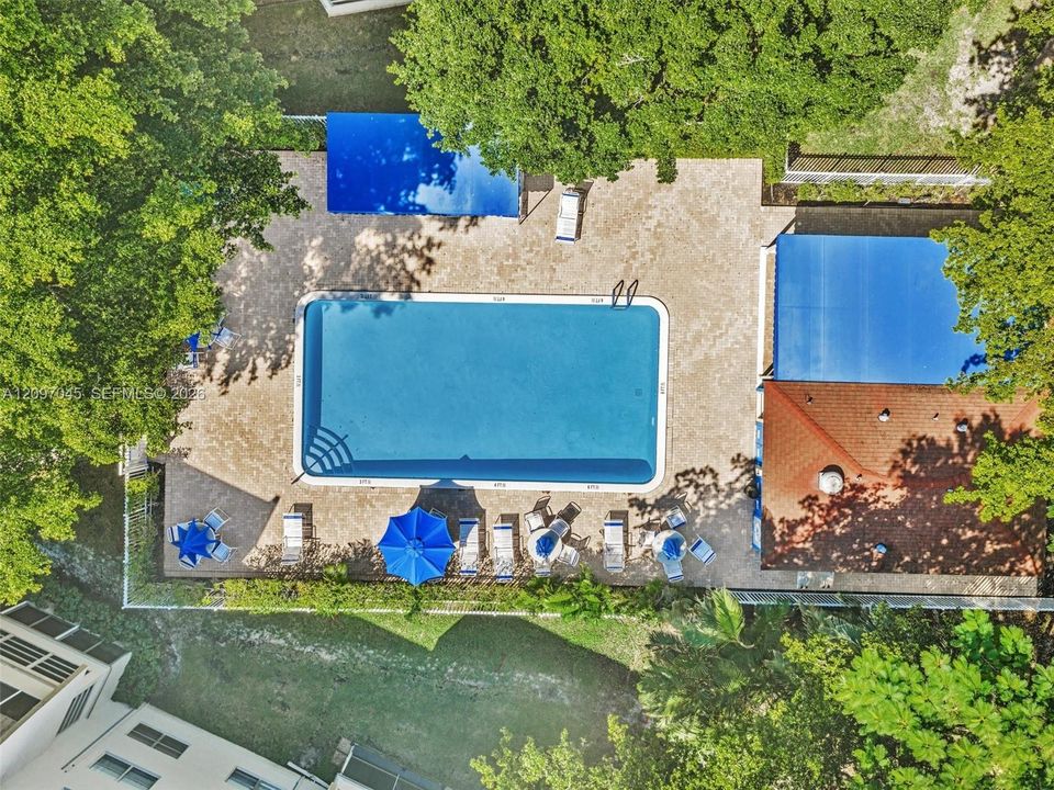 Rectangular swimming pool with integrated stair entry, surrounded by a stone-paver deck, shaded structures, and mature trees