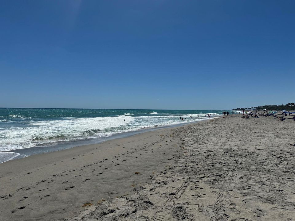 IMG_8490