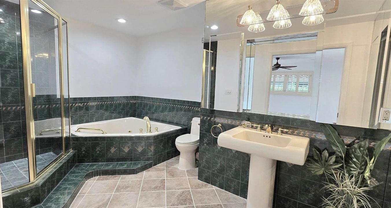 Master bath walk in shower & jet tub
