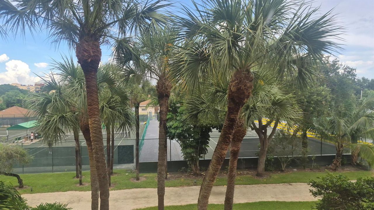 view