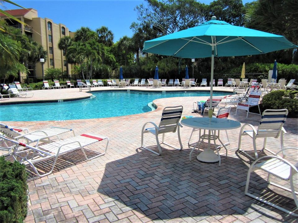 main pool area