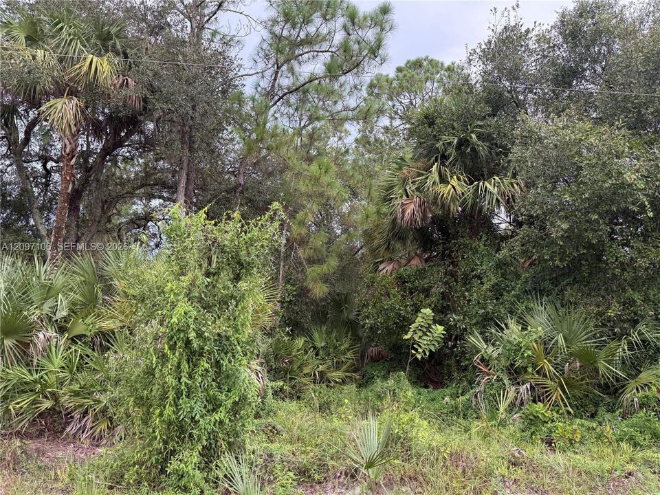 For Sale: $47,000 (1.25 acres)