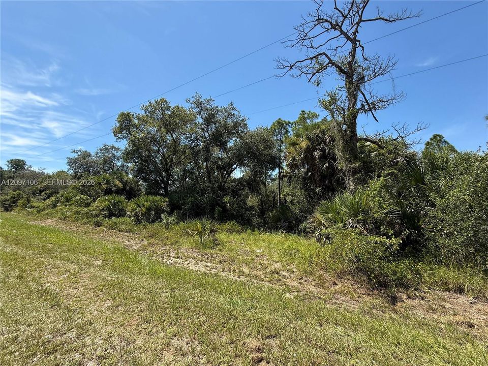 For Sale: $47,000 (1.25 acres)