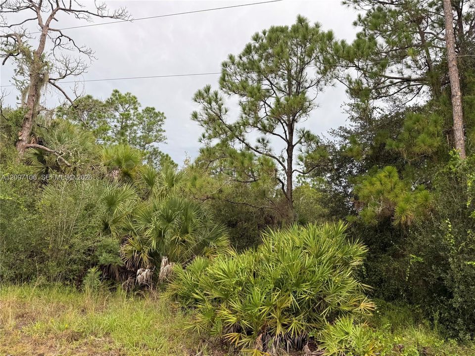 For Sale: $47,000 (1.25 acres)