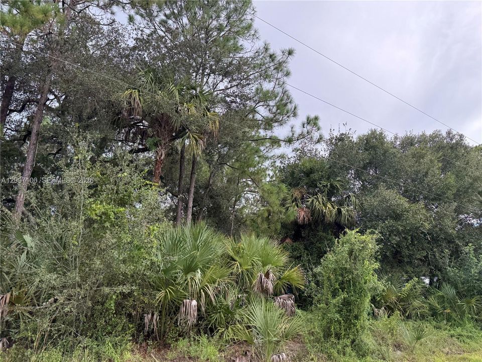 For Sale: $47,000 (1.25 acres)