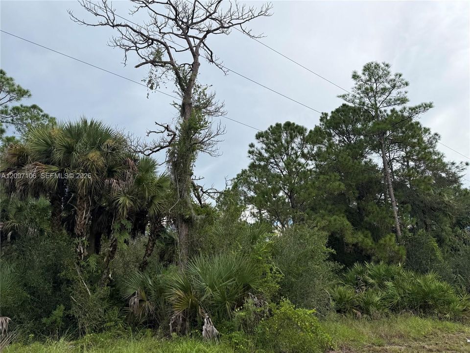 For Sale: $47,000 (1.25 acres)