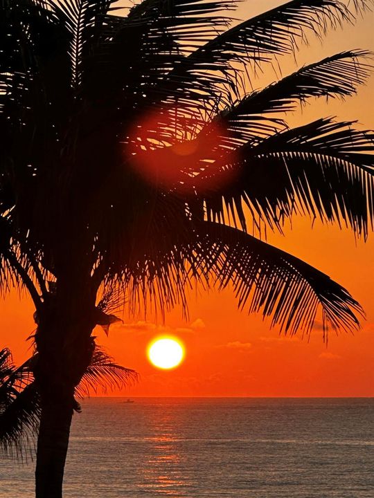 Sunrise
