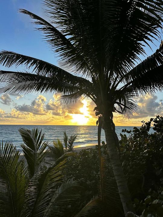 Sunrise