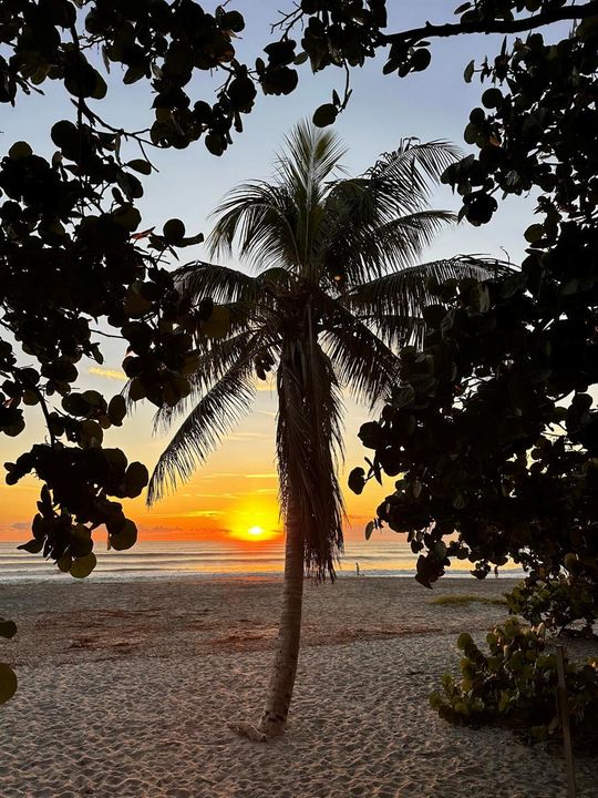 Sunrise
