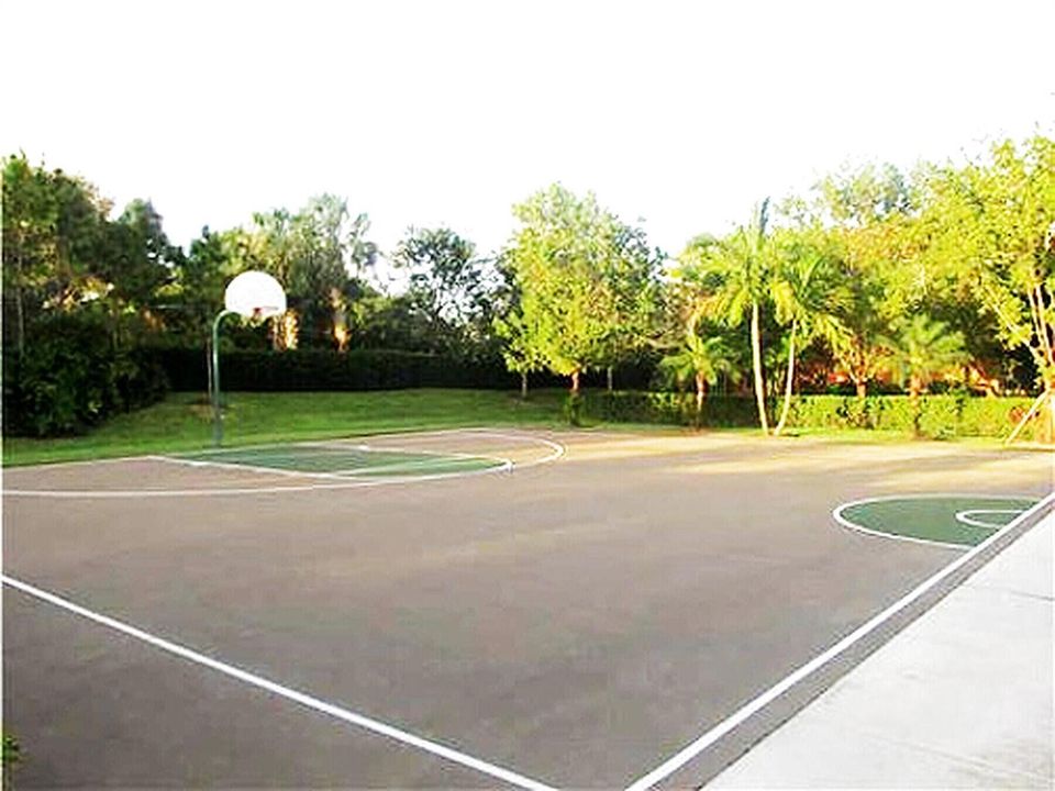 33_basketball-court