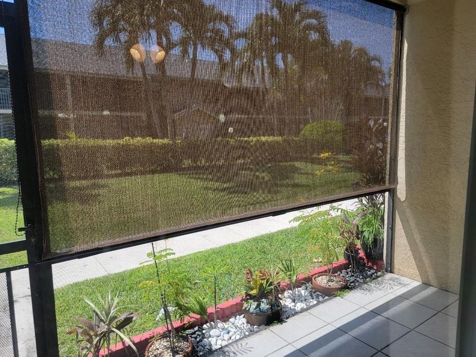 Sun Room