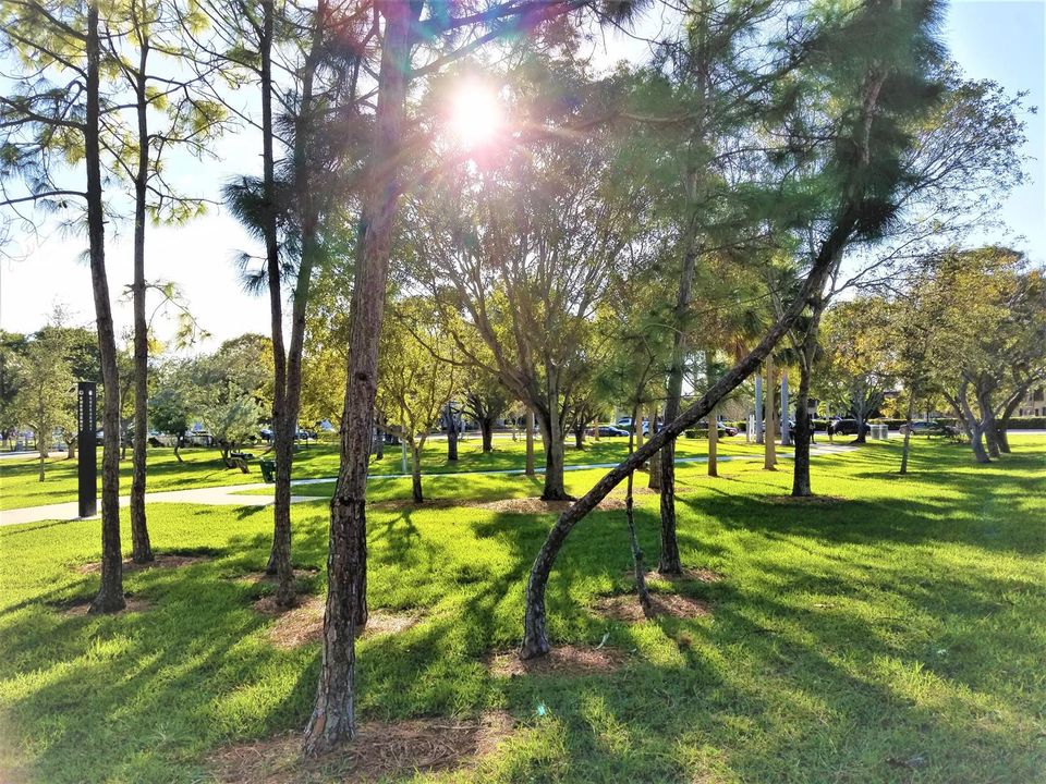 Park