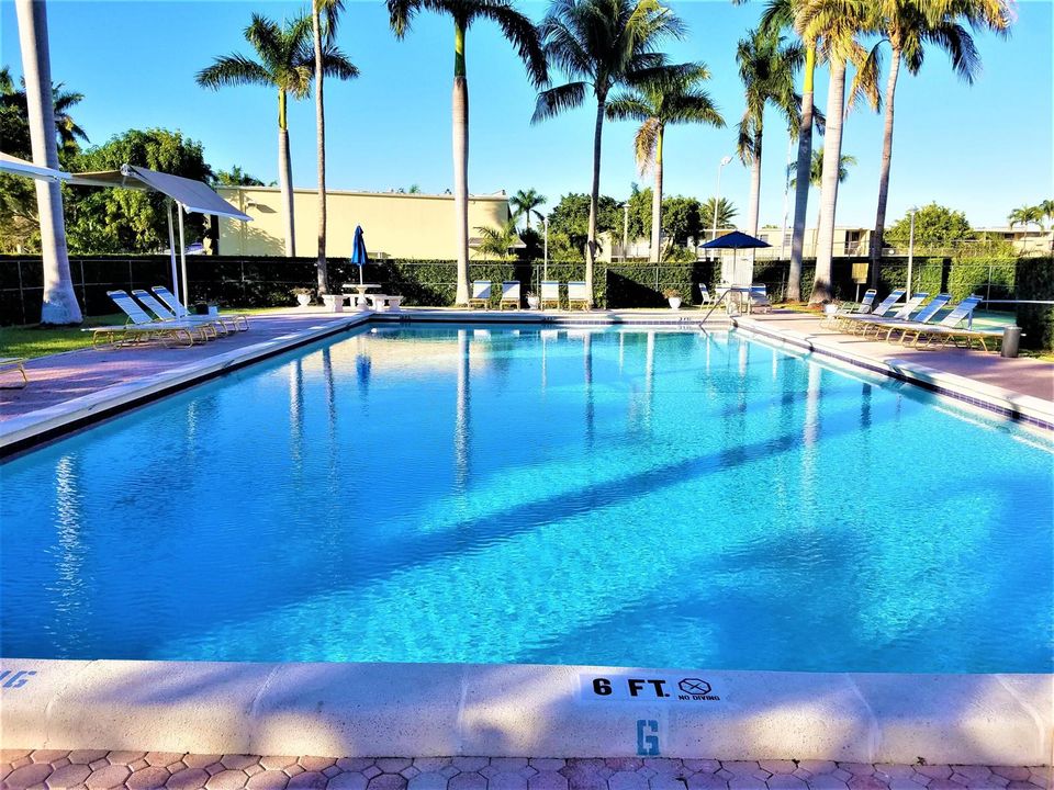 Venetian Park Pool