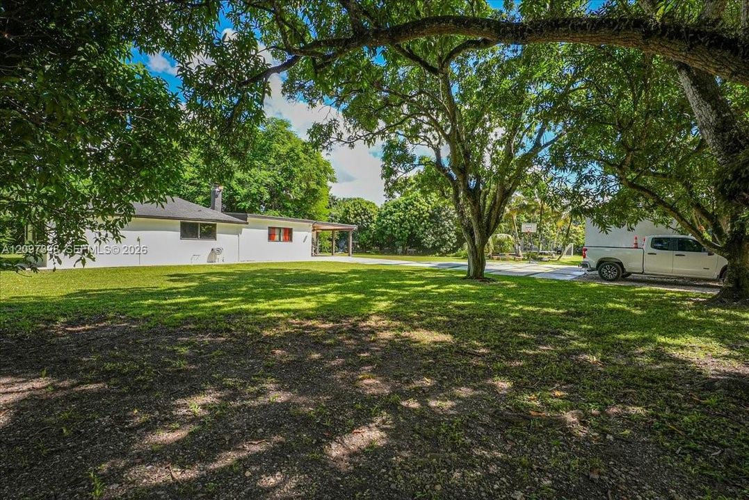 For Sale: $1,350,000 (4 beds, 2 baths, 1566 Square Feet)
