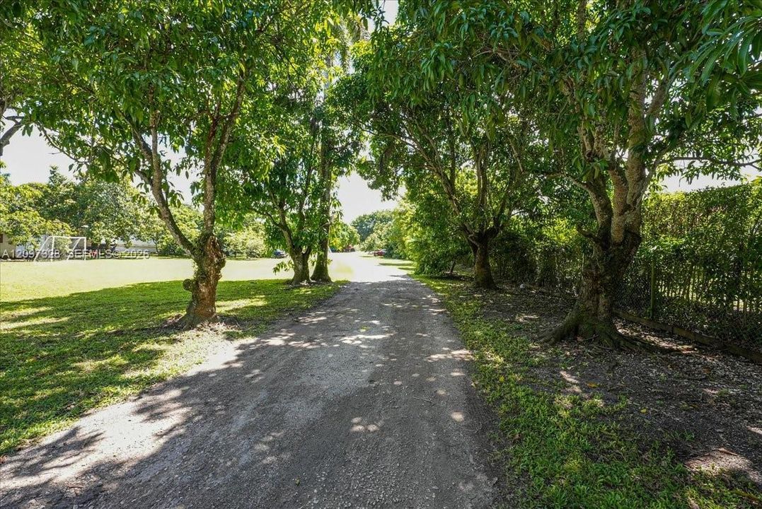 For Sale: $1,350,000 (4 beds, 2 baths, 1566 Square Feet)