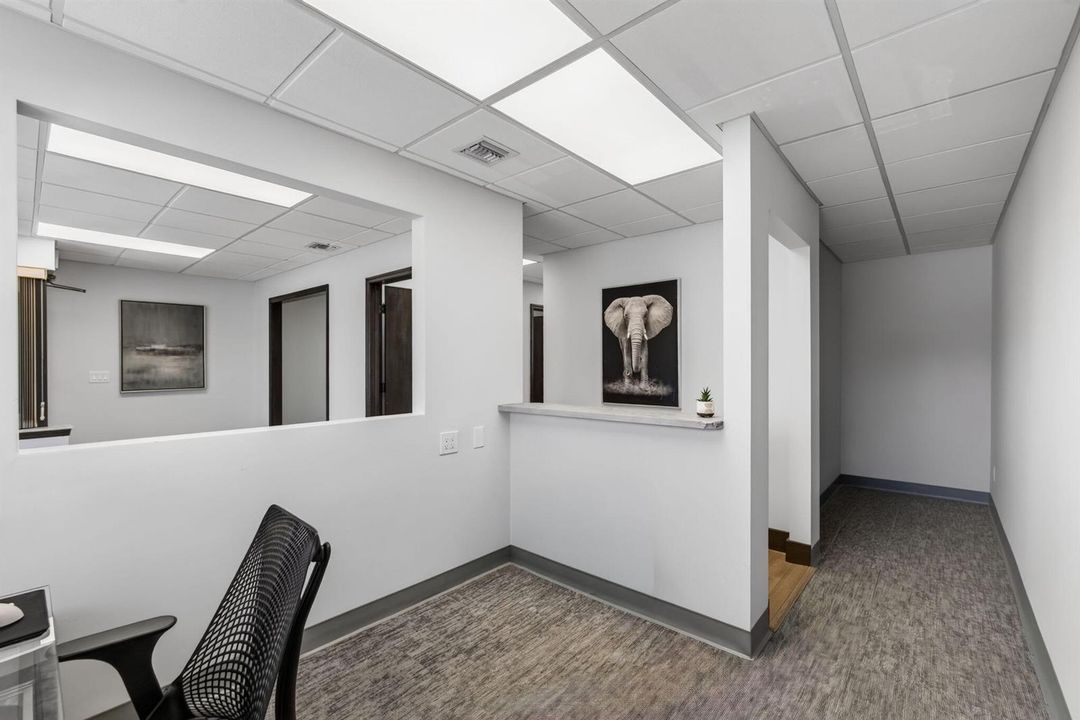 13-web-or-mls-5D1A2563