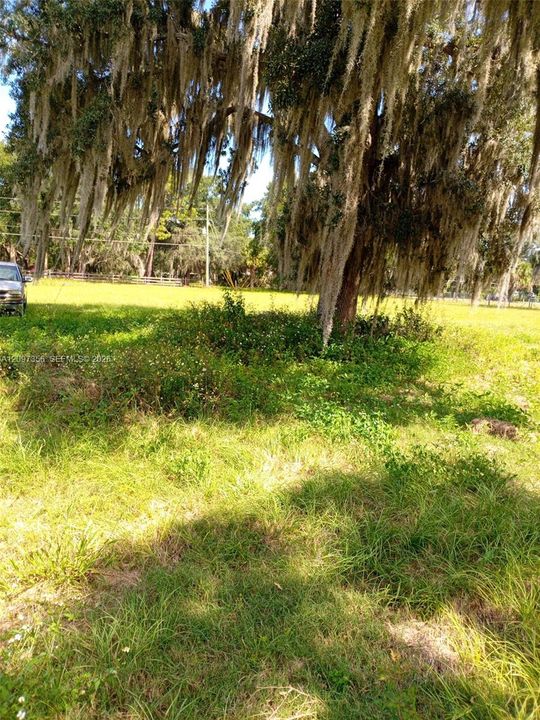 待售: $425,000 (2.72 acres)