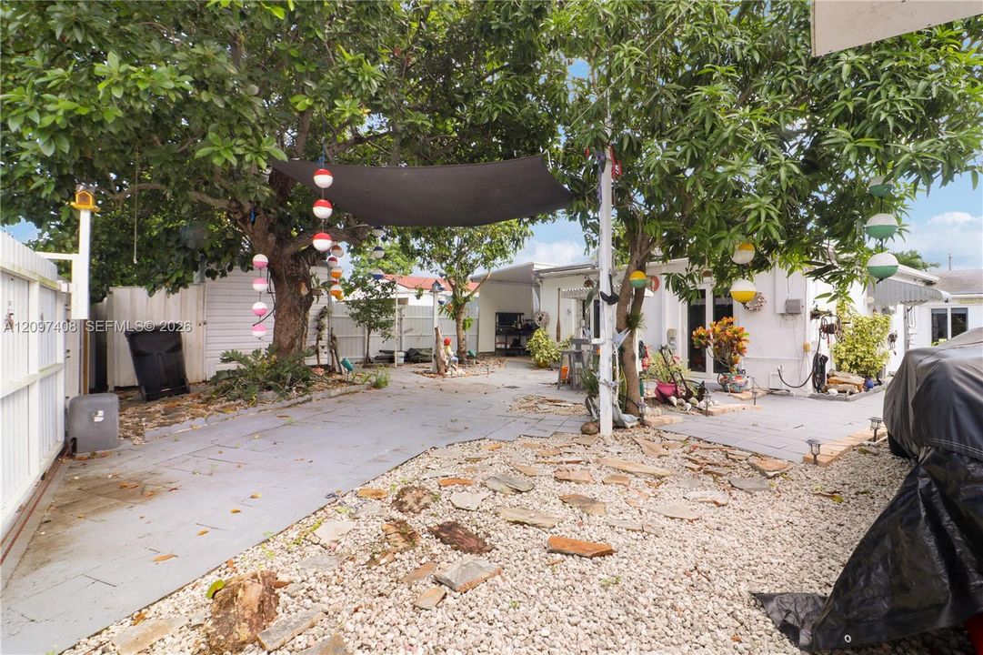 Back Yard 2