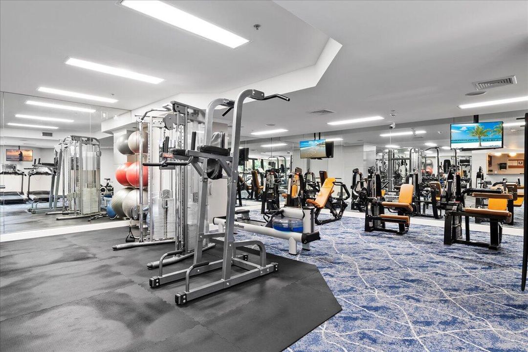 fitness