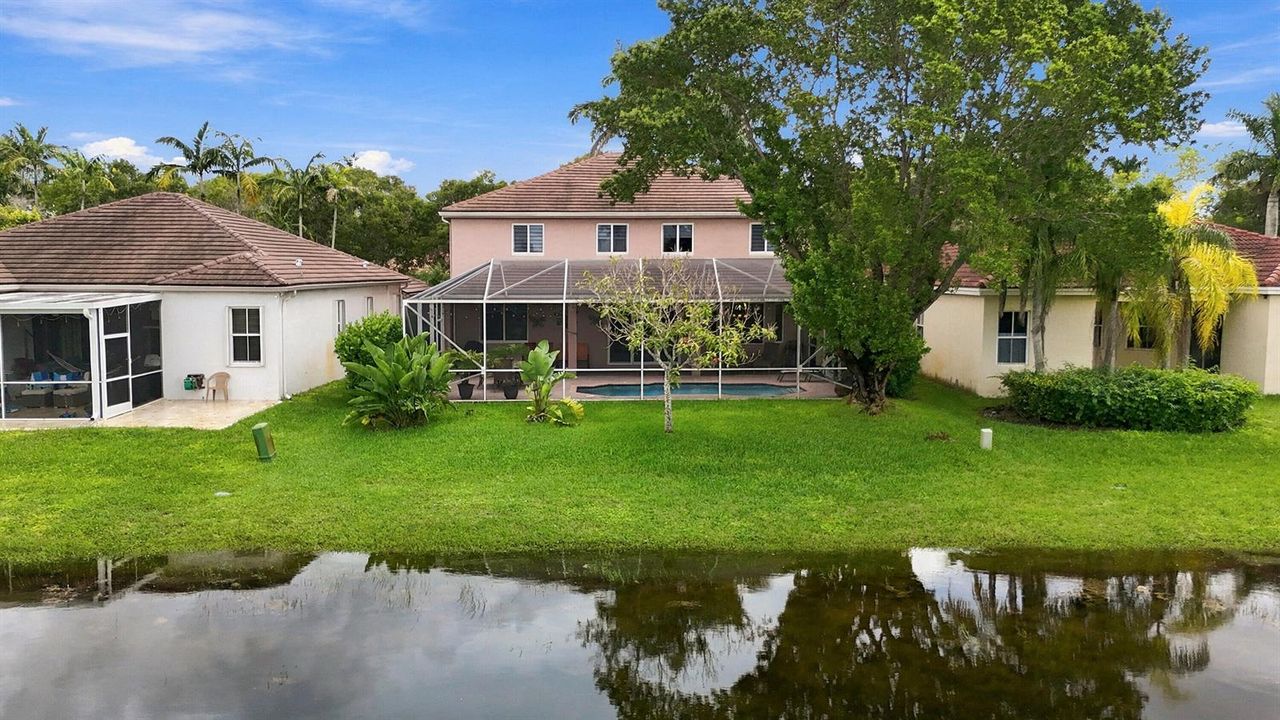 Back of Structure