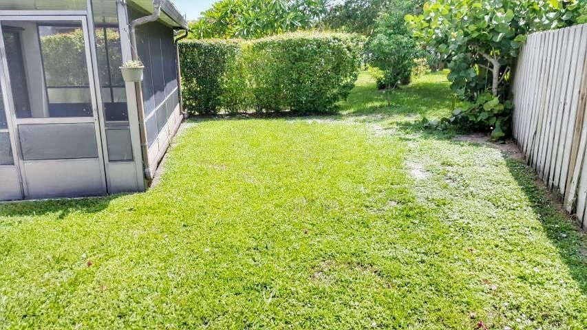 back yard