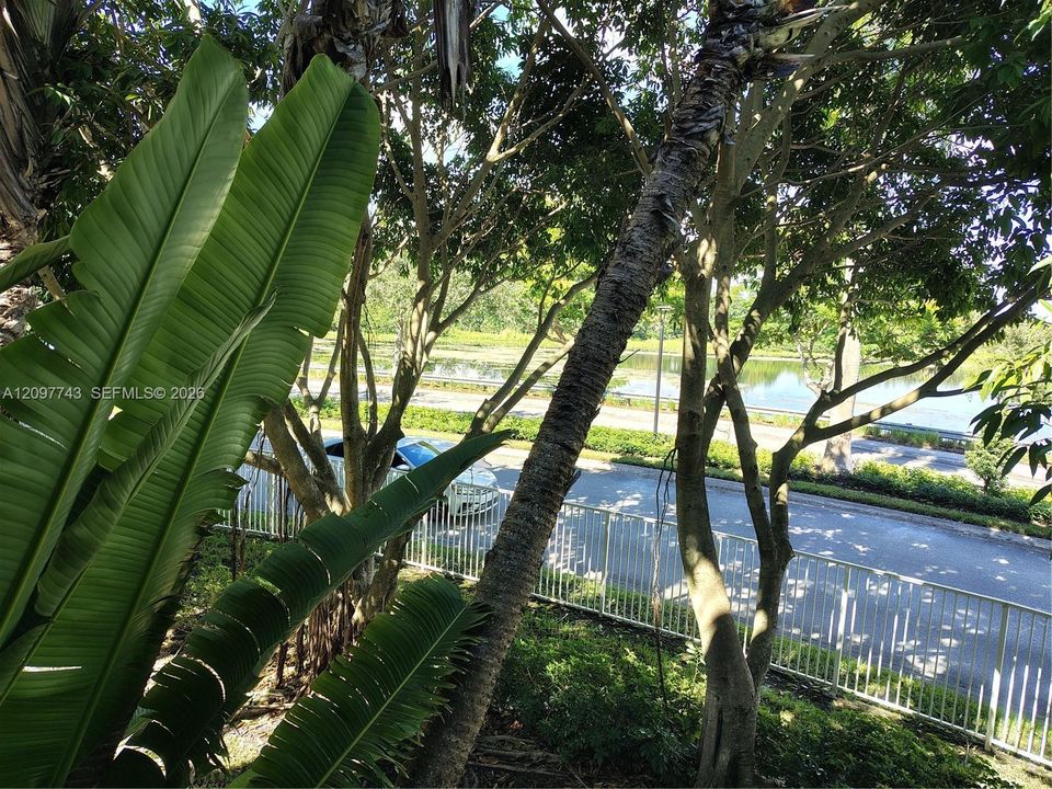 For Rent: $2,300 (2 beds, 2 baths, 1065 Square Feet)