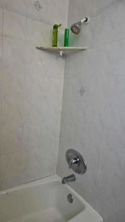 810 SE 22 Ave, #202 Bathroom 2