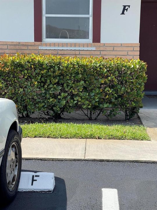 parking space