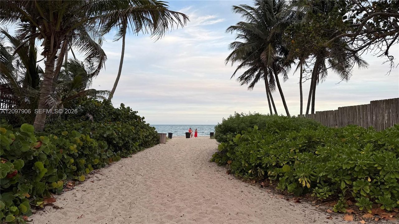 Beach